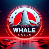 TOP WHALE CALLS 🎲