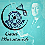 Magic Biology (by Ozod Murodovich)