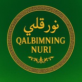 QALBIM NURI