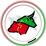 TIL Group | Трейдинг, Инвестиции, Обучение