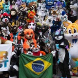 Eventos Furry Fandom Brasil