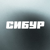 Карьера в СИБУРе