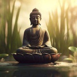 Buddha Classes