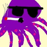 Squid Gambles