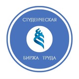 Студенческая биржа труда ДВФУ 💫