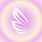 Fly Yoga Portal