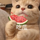 🍉 吃瓜搞笑俱乐部 🌚