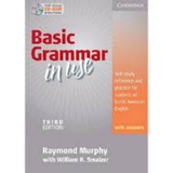 grammer in use basic