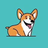 Потеряшки и пиар Краснодар 🐾