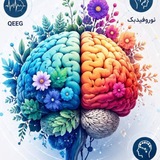 Brainacademy پرتو دانش