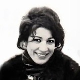 چامههای ناگهان.