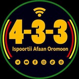 ORO 4-3-3 SPORT