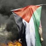 تفاصيل فلسطينية 🇵🇸 !