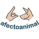 Afecto Animal
