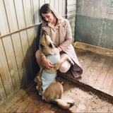 Лапка Добра 🐾
