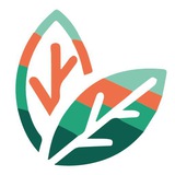 Dulce Revolución Canal Oficial