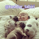 🌜 🌜 Tushlar Ta'biri <i class="emoji" style="backgr