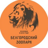 Белгородский зоопарк 🦁