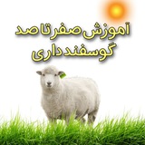 🟡 📚 آموزش گوسفند داری۱۴۰۴