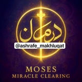 اشرف مخلوقات چرا و به چه علت