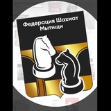 ФШМ. Шахматные турниры с трансляцией