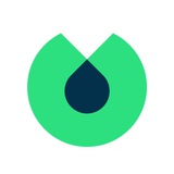 Blinkist Summaries