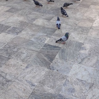علم النفس العيادي