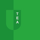 Teacher Education Academy-TEA