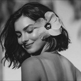 قفشات شعرية