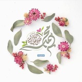 🌴🌴 🌴🌴