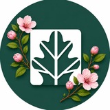 Фореста Фестиваль Парк