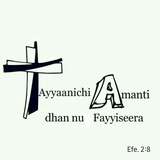Ayyaanichi Amantiidhaan Nu Fayyiseera