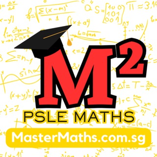 Master PSLE Maths Now! ✍