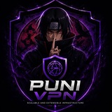 Puni VPN