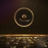 Pudiman Crypto Channel