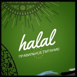 🔰 Halal PP RU