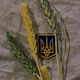 цитати українською 💌