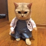 ๏ธ ๏ธ ๐๐๐ง๐๐๐จ๐ฅ ๐ฉบ ๐ ุจููููููุฏูู