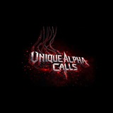 UNIQUE ALPHA PRINTS ๐บ