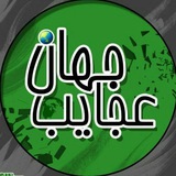 عجیب ولی واقعی های جهان