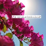 آيـات ✨