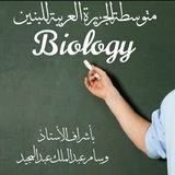 أستاذ وسام عبدالملك