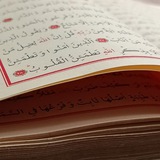 قلم آلمشااعر 🖋️ ..