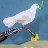 የሸገር ልጅ ነኝ