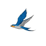 ( 🕊 پَر) v2ray config