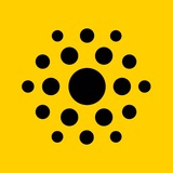 INTER NATION school