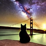 Bay Area Persians