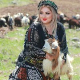کانال فیلم و اهنگ کوردی 😍 🫀