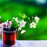 عبارتهای تاکیدی مثبت