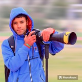 المصور كرار(عَٰـُيـــٓـــــٓـــــٓـــــٓـــــٓـــــٓــنَٰ آلَٰـُـٰٓعَٰـُـــٓـــــٓـــــٓــٰٓتَٰـُـٰٓـــٓـــــٓـــــٓـــــٓــوي)